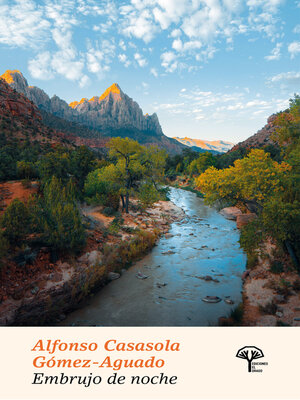cover image of Embrujo de noche